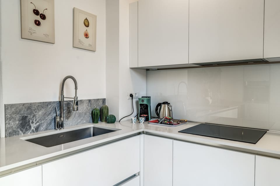 Luxury Apartment | Private kitchen | Fridge, oven, stovetop, dishwasher