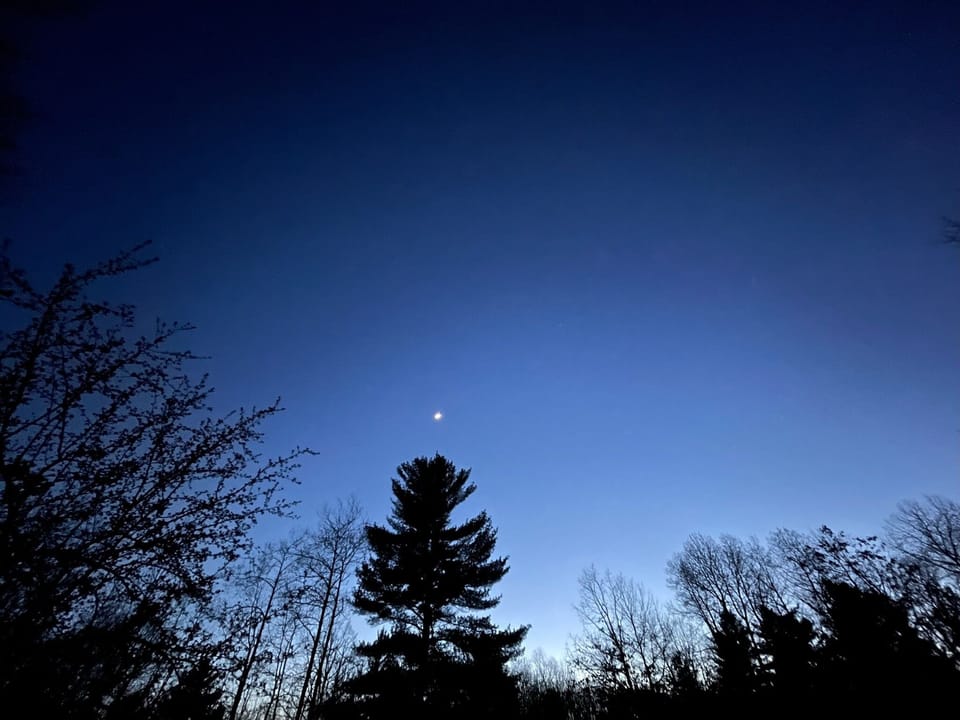 View of the night sky from the backyard.