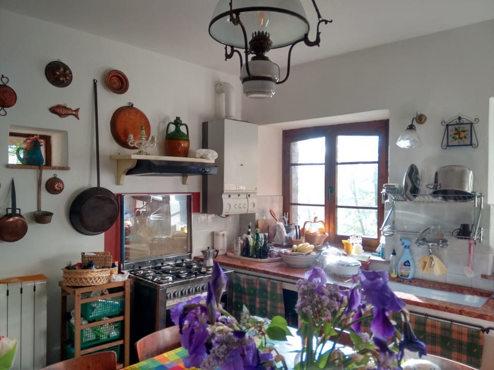 Comfort Cottage, 2 Bedrooms, Non Smoking, Pool View | Private kitchen | Stovetop, espresso maker, coffee/tea maker, electric kettle