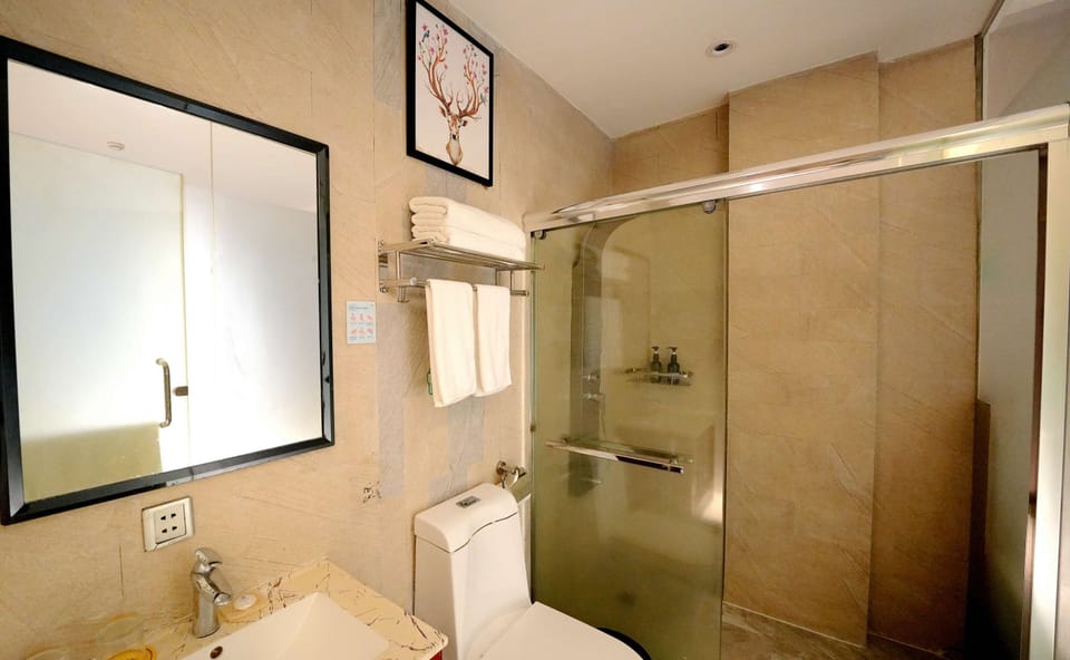 Shower, hydromassage showerhead, free toiletries, hair dryer