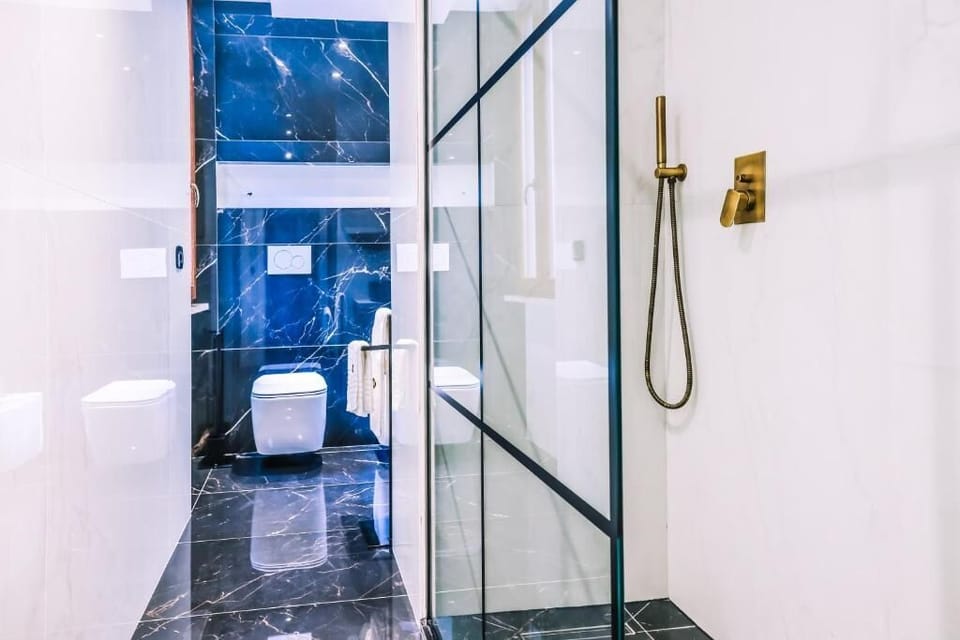Shower, hair dryer, bathrobes, slippers