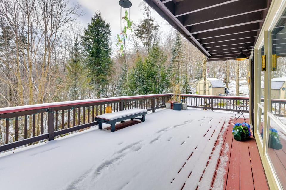 Deck | Forest & Mountain Views