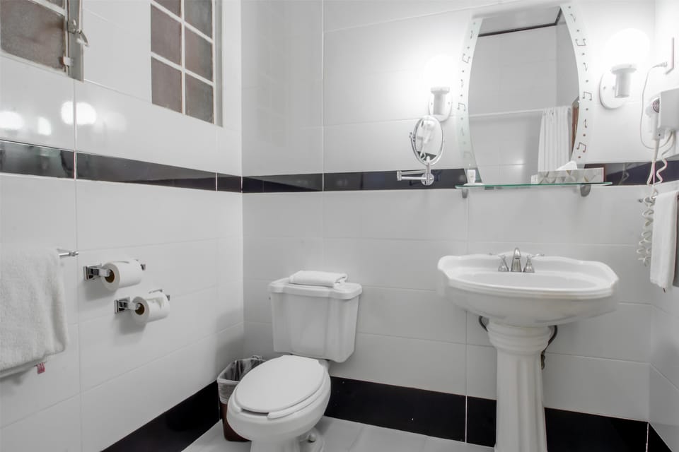 Combined shower/tub, free toiletries, hair dryer, towels