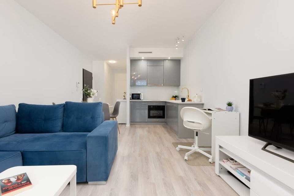 The living area features a sleek coffee table and a flat-screen television.