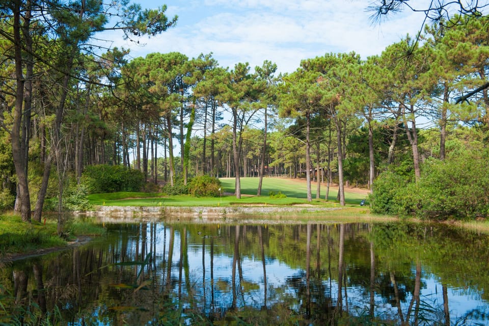Tranquil lakeside grounds with tall pine trees — Apartment Anibal, holiday apartment in Portugal