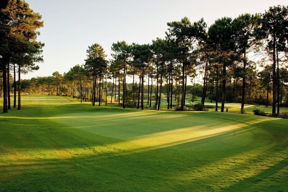 Manicured golf course with tall pine trees — Apartment Nitin, holiday apartment in Portugal
