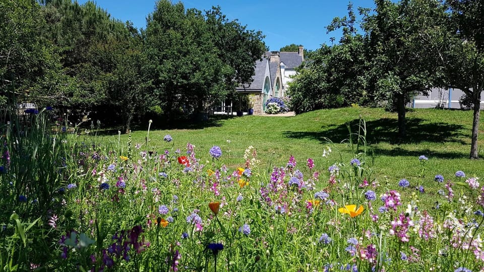 le jardin