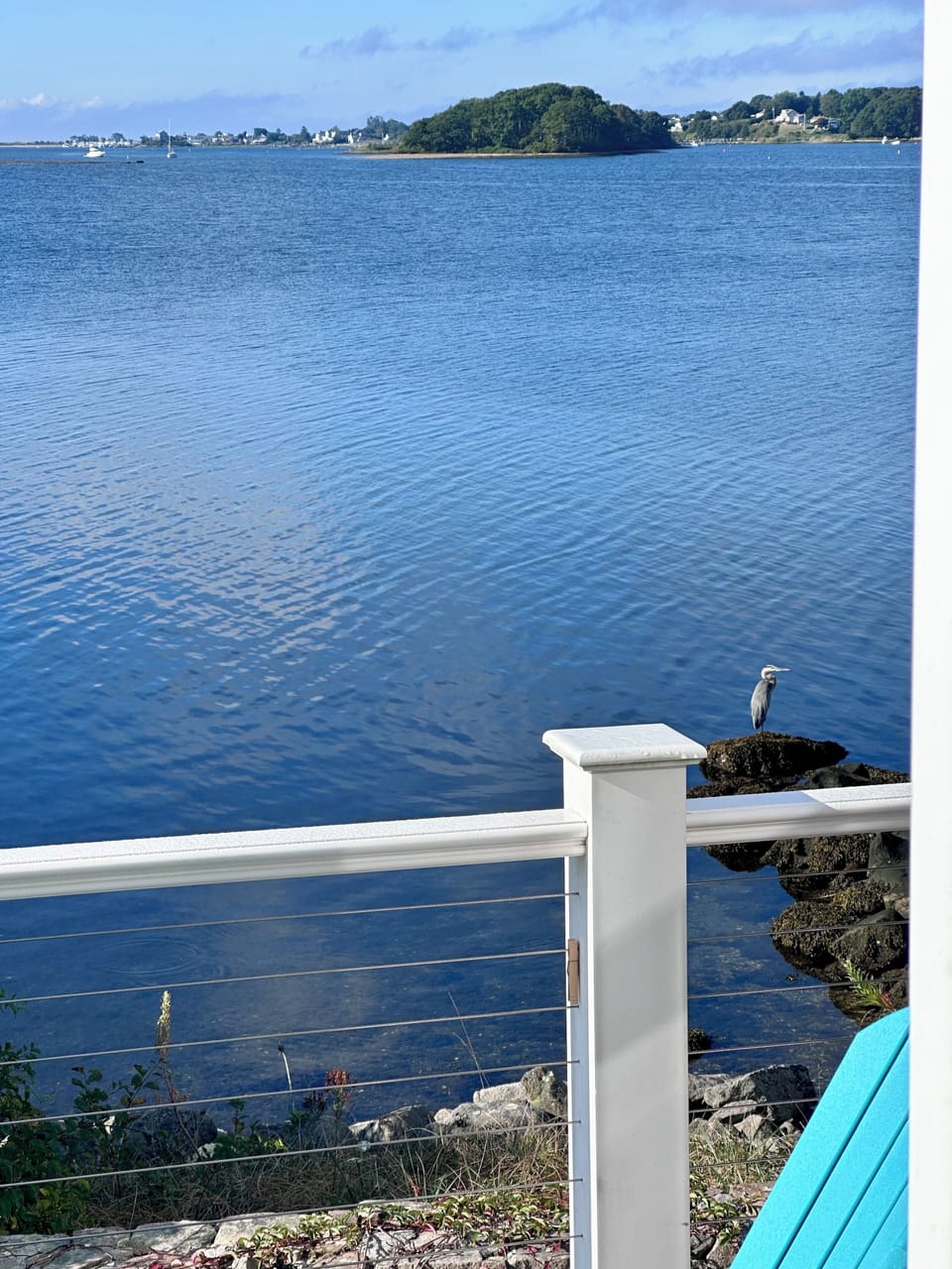 That great blue heron loves to hang out on our mini-jette..