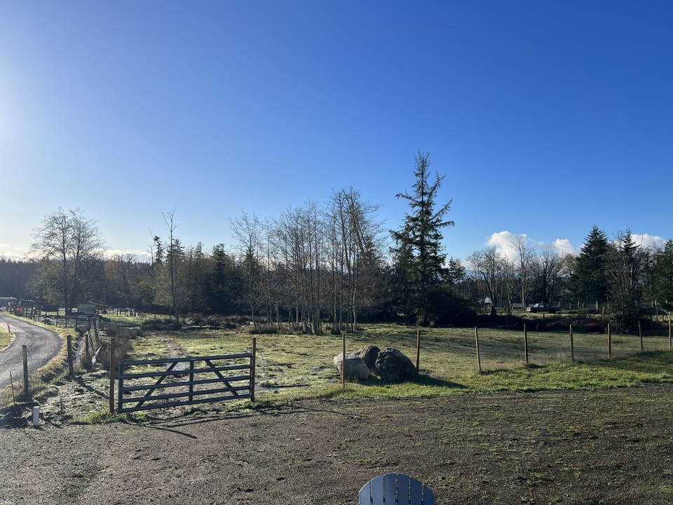 The Olympic Mountains in the background 