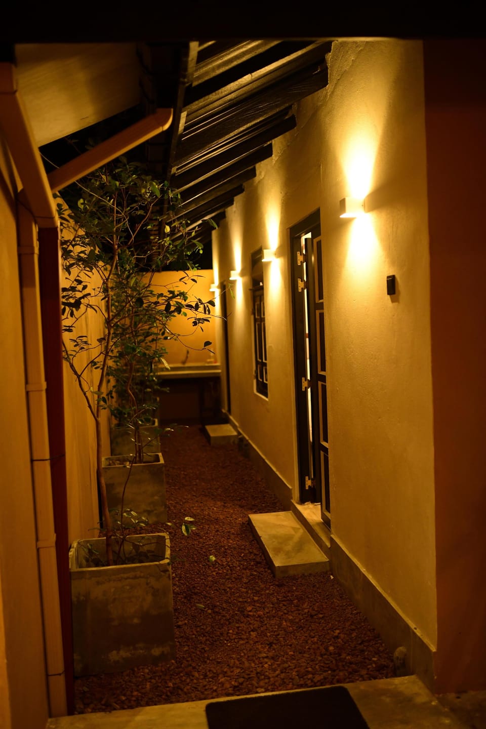Image 15