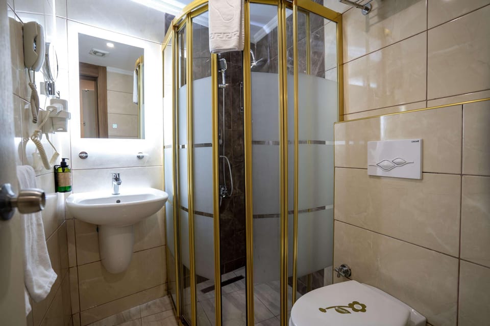 Shower, hair dryer, bathrobes, slippers