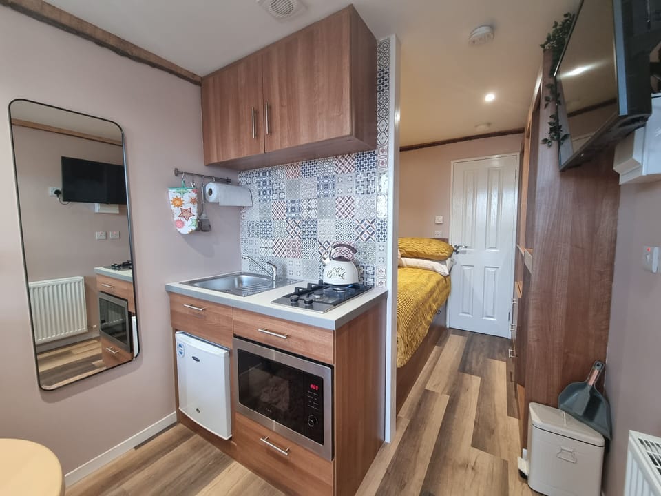 Cabin | Private kitchen | Fridge, microwave, stovetop, electric kettle