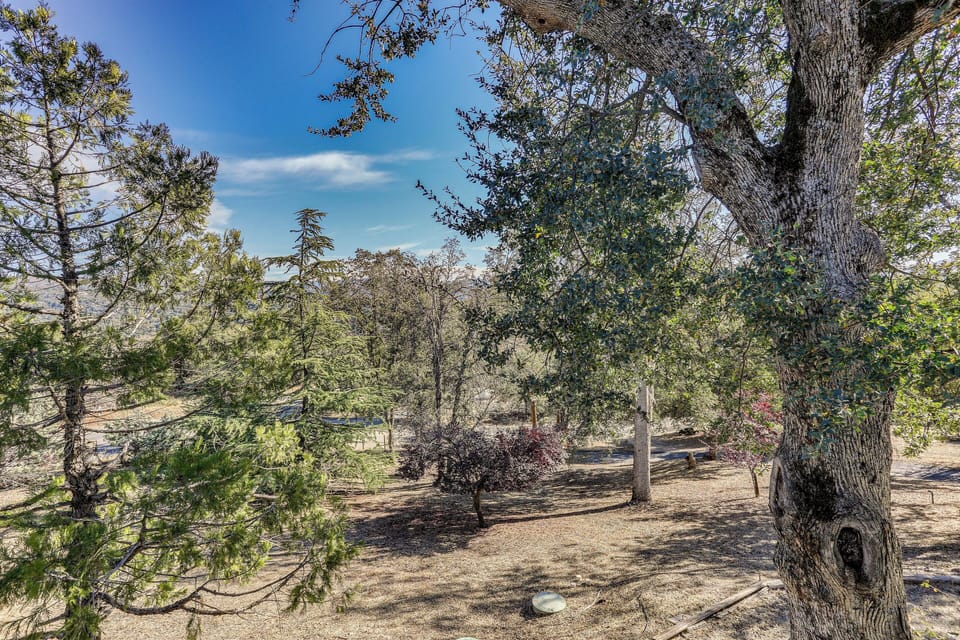 Apartment (0 Bedroom) | Interior