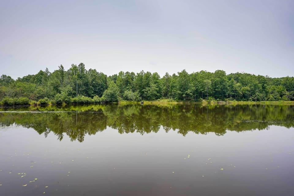 Apartment (0 Bedroom) | Interior