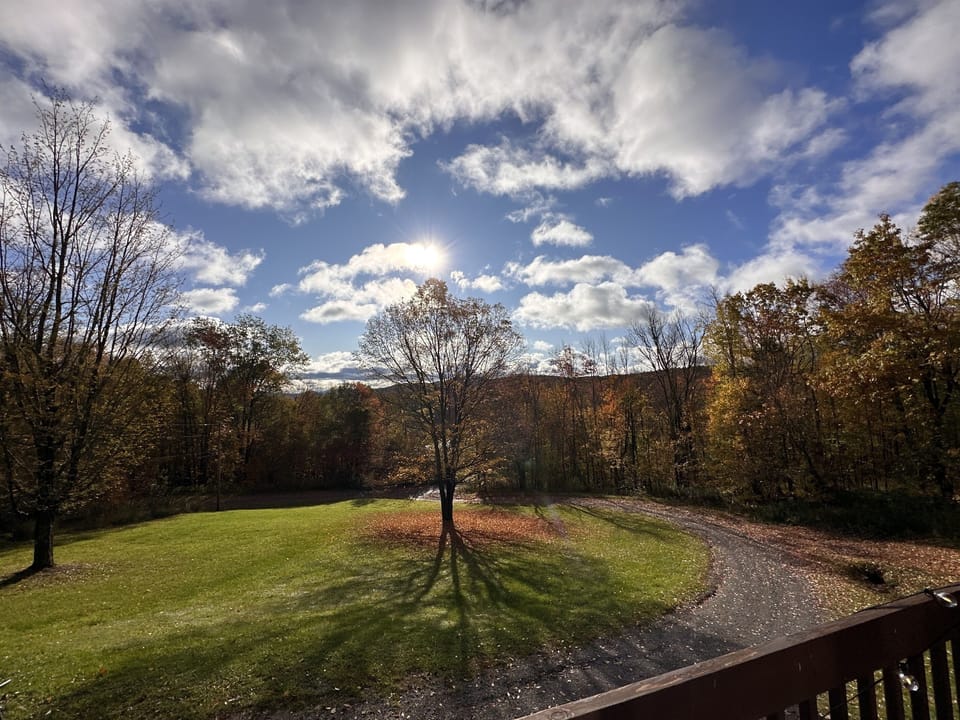 View from property