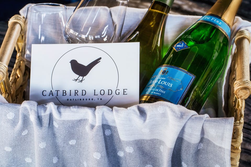 Welcome to the Catbird Lodge, we're delighted to have you!