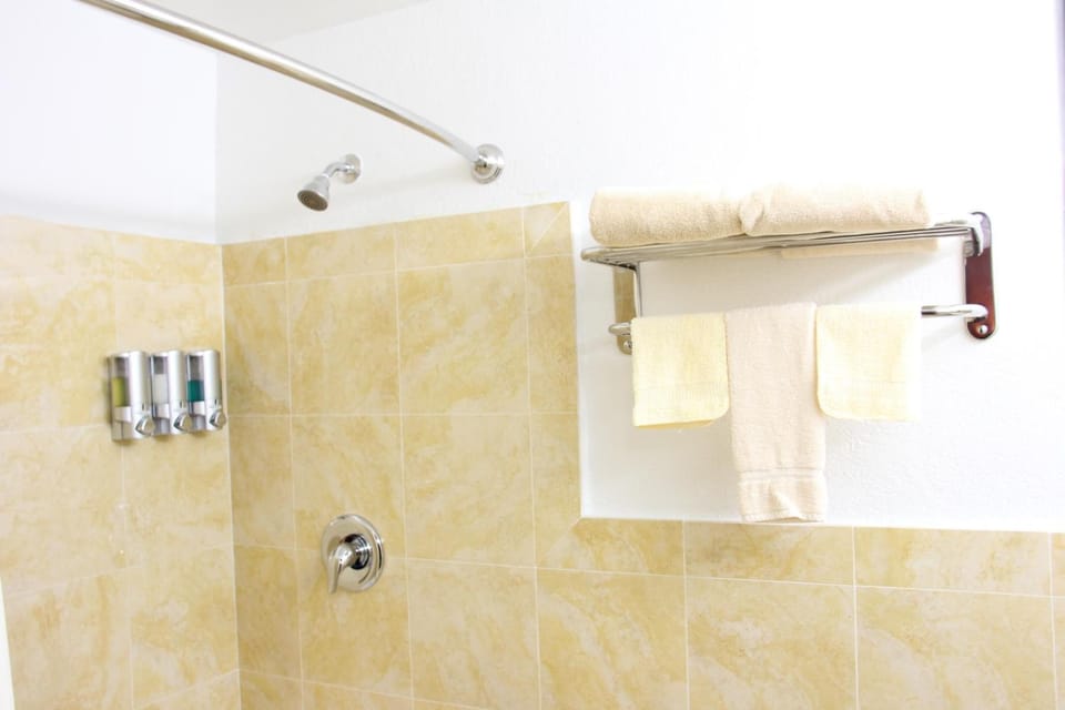 Shower, free toiletries, hair dryer