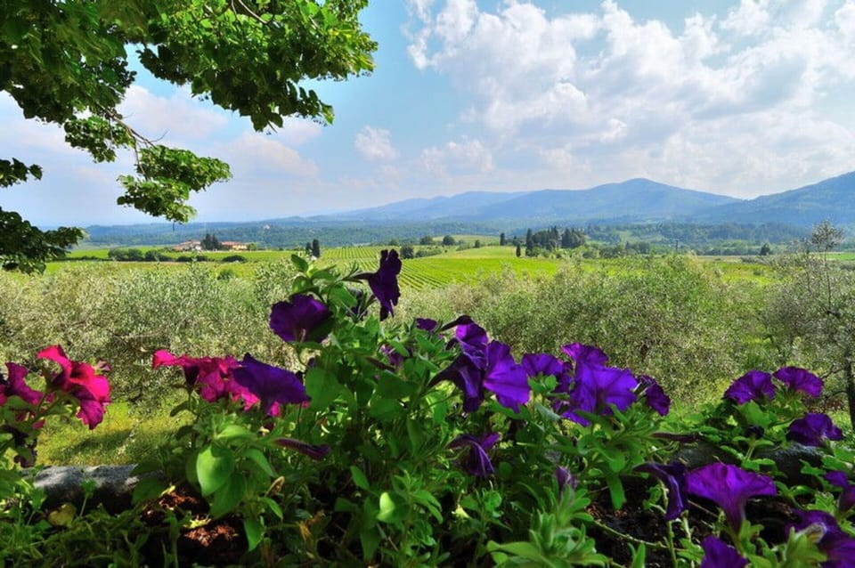 Activities, Building Exterior, Garden, Spring, Summer