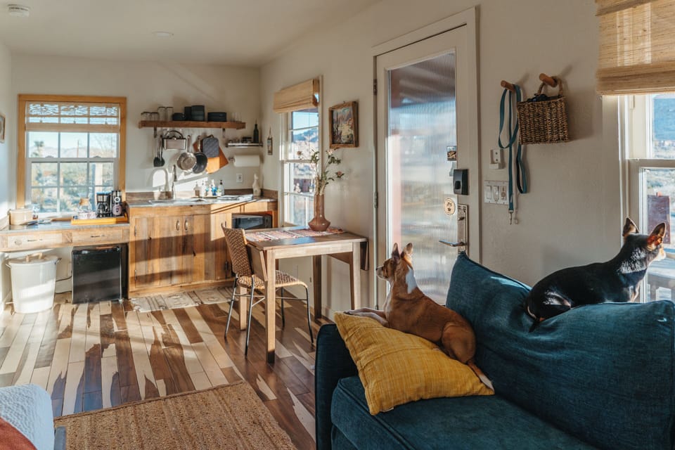 Sunlit rustic studio with kitchenette, dining nook—pet-friendly.