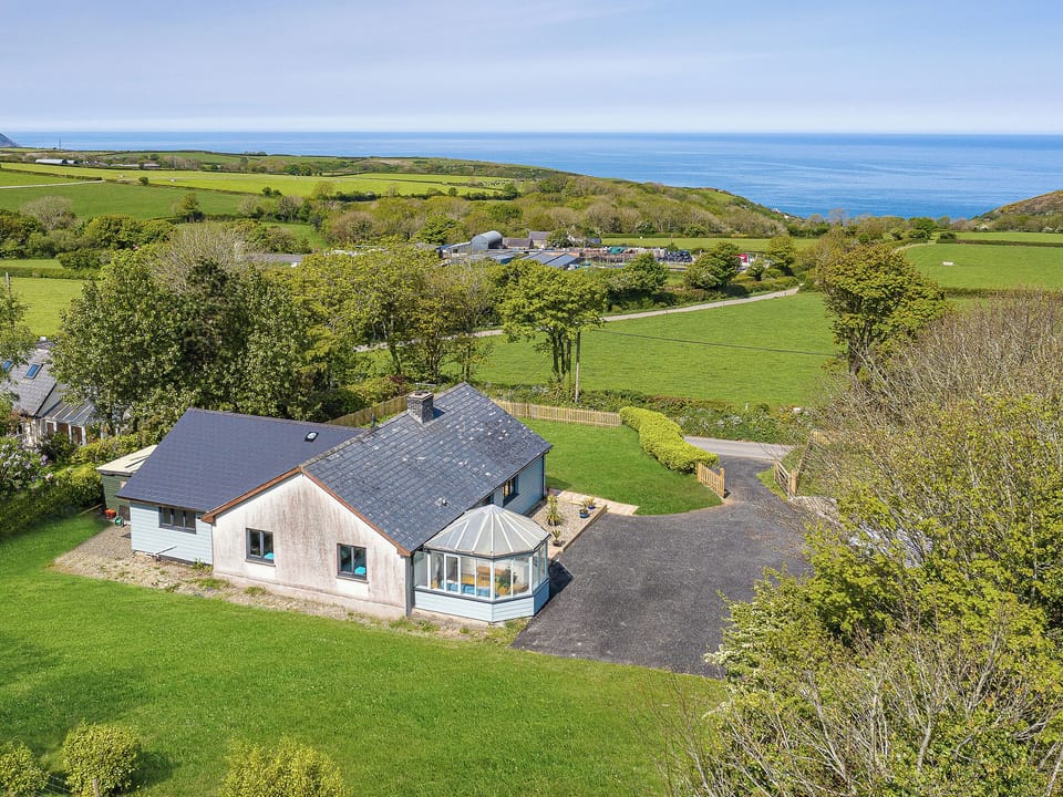 Setting | Great Tree House, Llangrannog