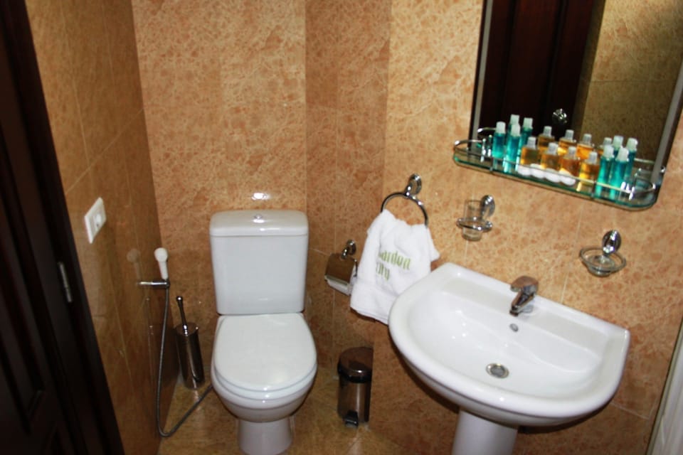 Bathtub, spring water tub, free toiletries, hair dryer (on request)
