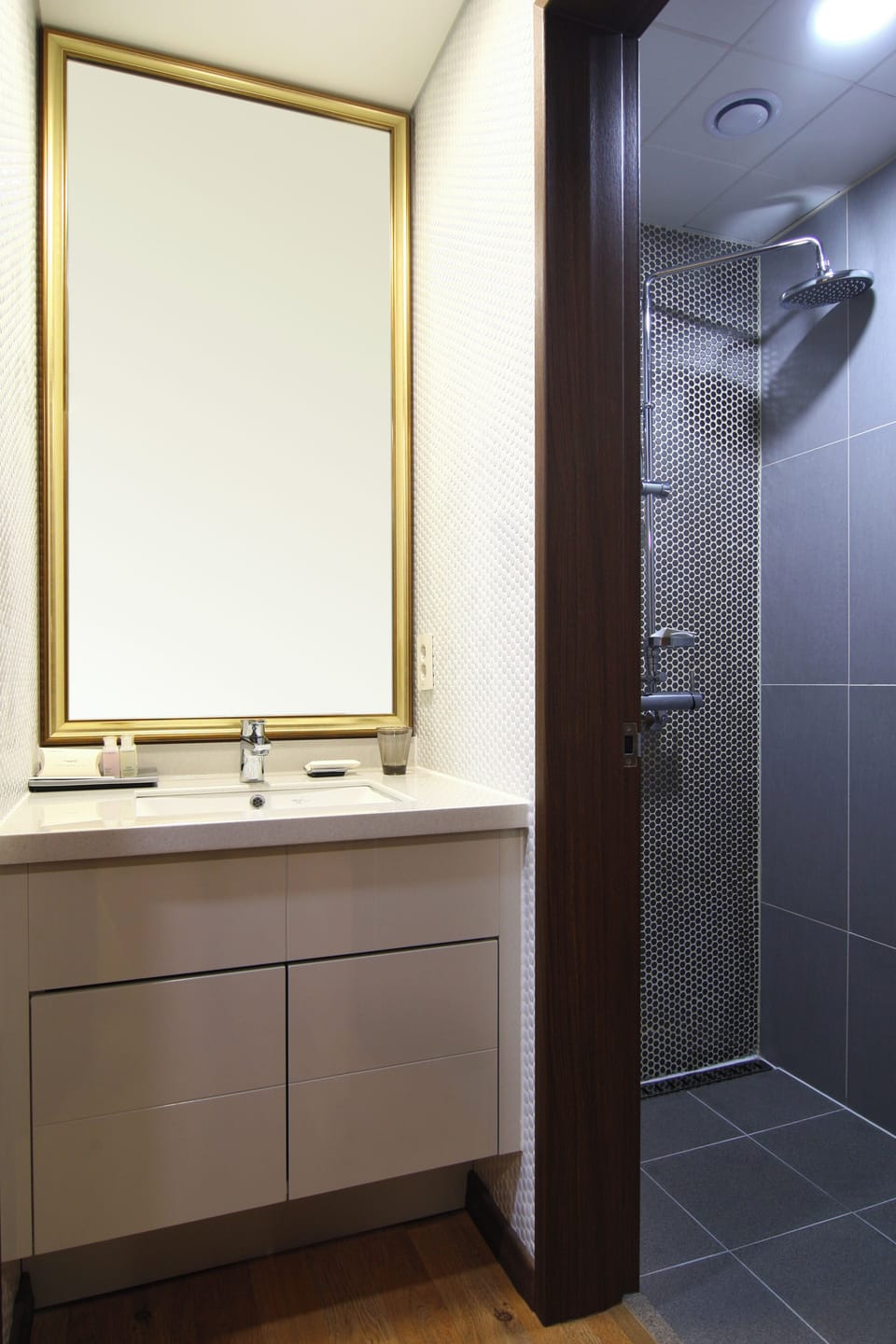 Shower, free toiletries, hair dryer, slippers