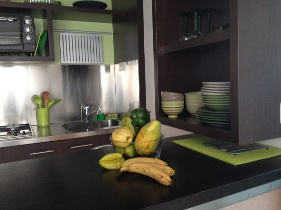 Apartment, Private Bathroom, Garden View (Anis) | Private kitchen