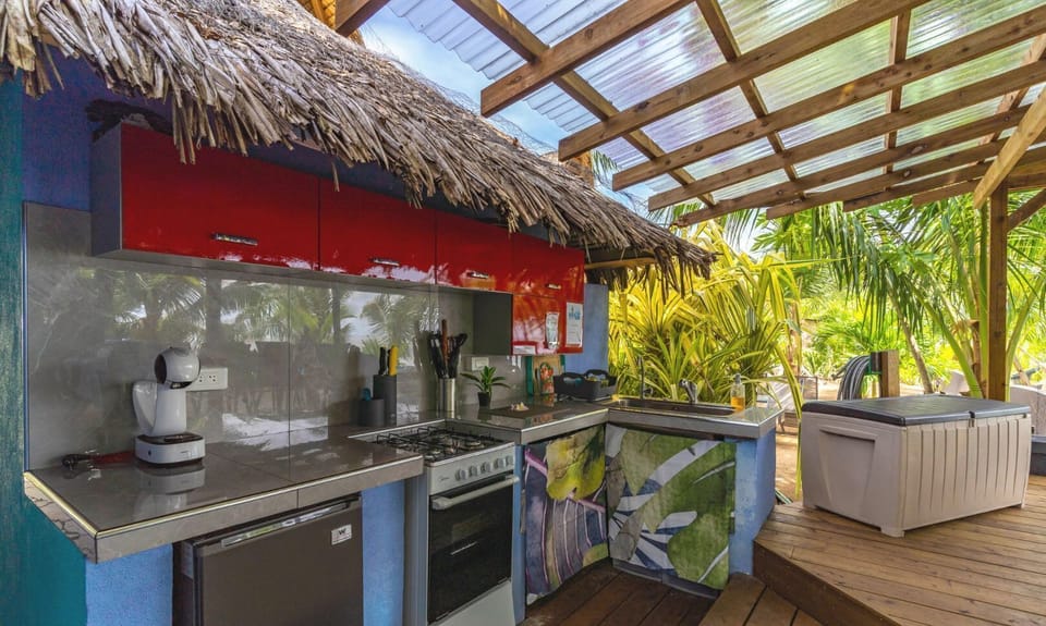 Covered outdoor kitchen and bar under thatch.