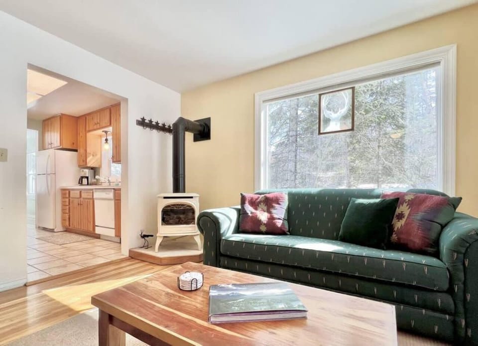 Living room and fireplace