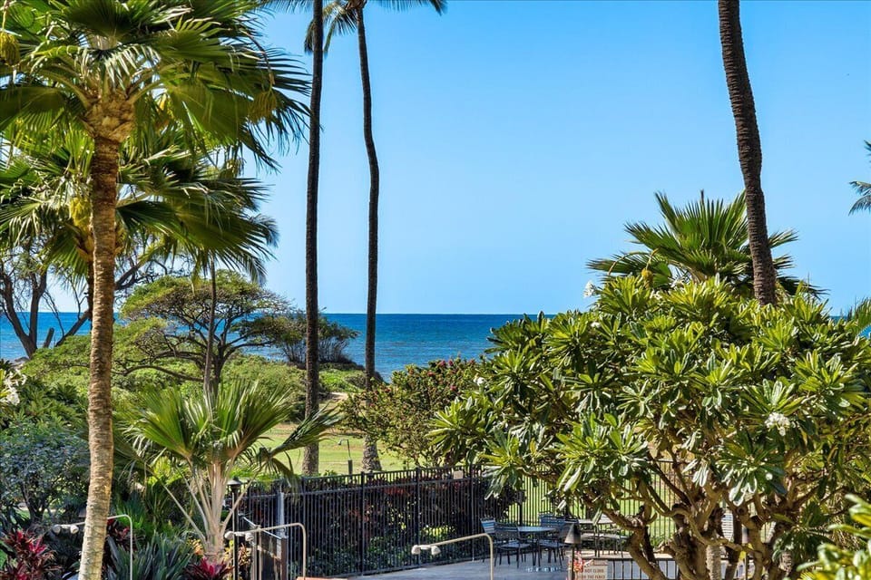 Take a walk to the beach