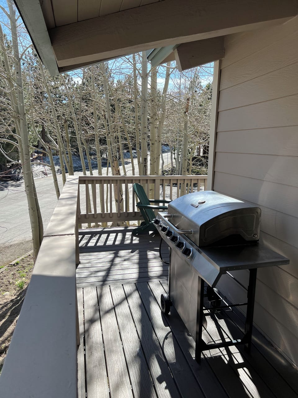 BBQ on the Deck