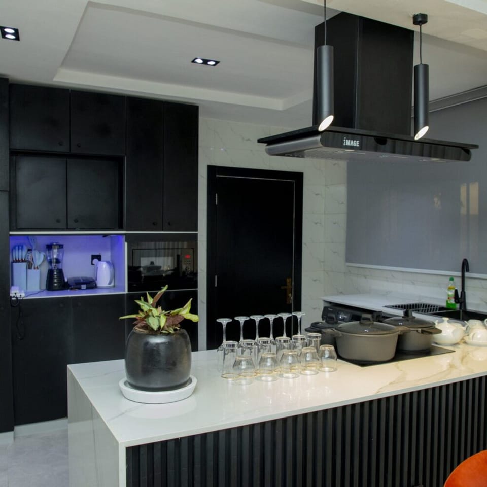 Presidential Apartment | Private kitchen | Fridge, microwave, blender, cookware/dishes/utensils