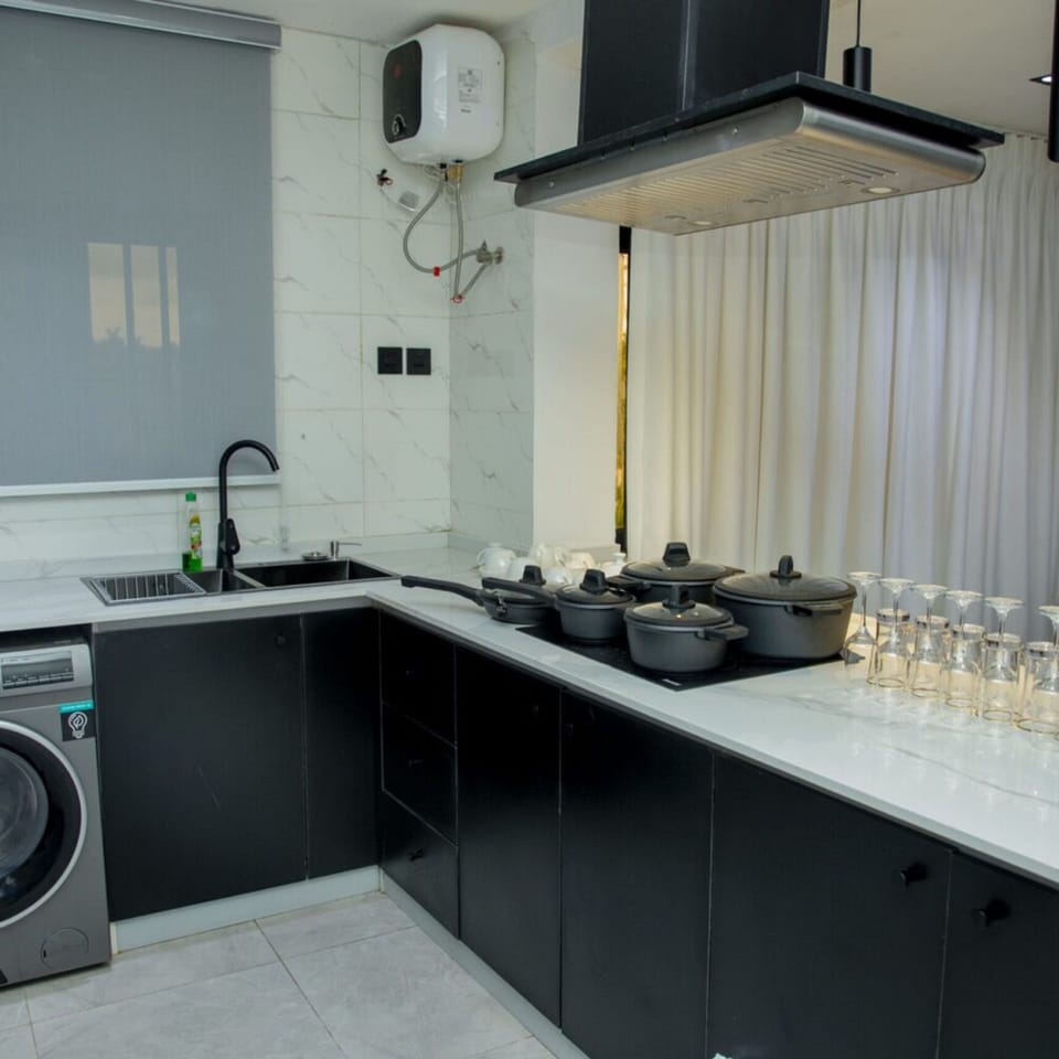Presidential Apartment | Private kitchen | Fridge, microwave, blender, cookware/dishes/utensils