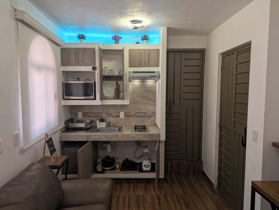 Business Apartment | Private kitchenette | Fridge, microwave, blender, cookware/dishes/utensils