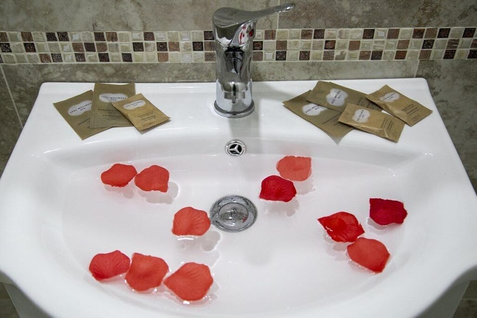 Luxury Single Room | Room amenity