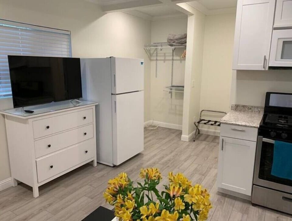 TV, fridge and drawers. 