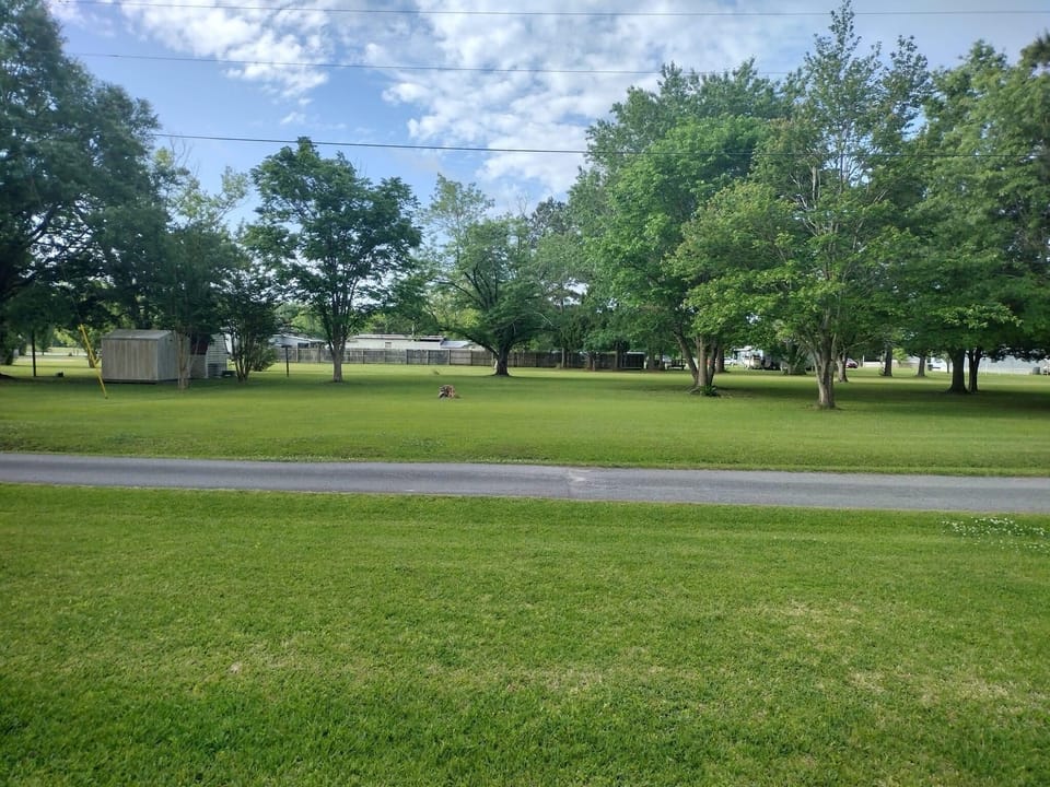 View from the front porch