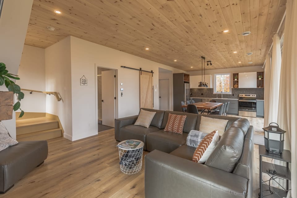 Kitchen and living room in open layout with wood finishes