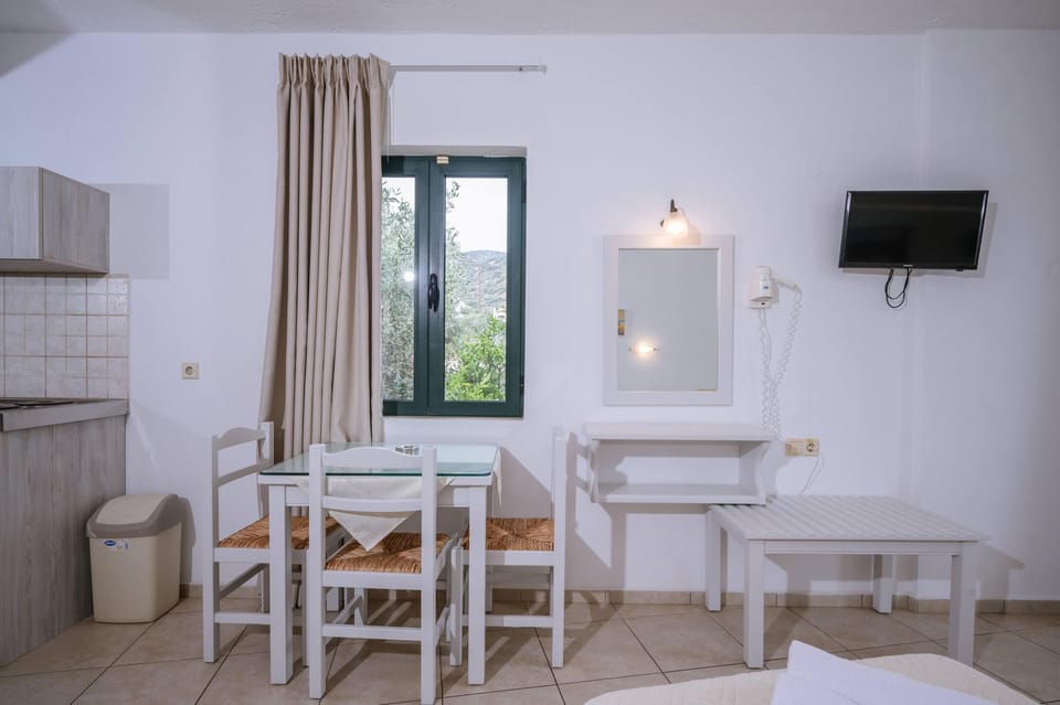 Standard Twin/Double Studio | Living area | 20-inch flat-screen TV with satellite channels