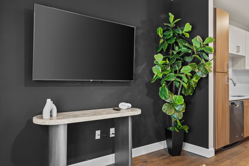 Luxury Apartment | Living area | 65-inch LCD TV with digital channels, Netflix, Hulu