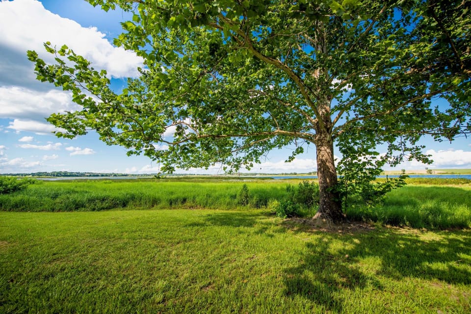 Studio, Accessible | 1 bedroom, Internet