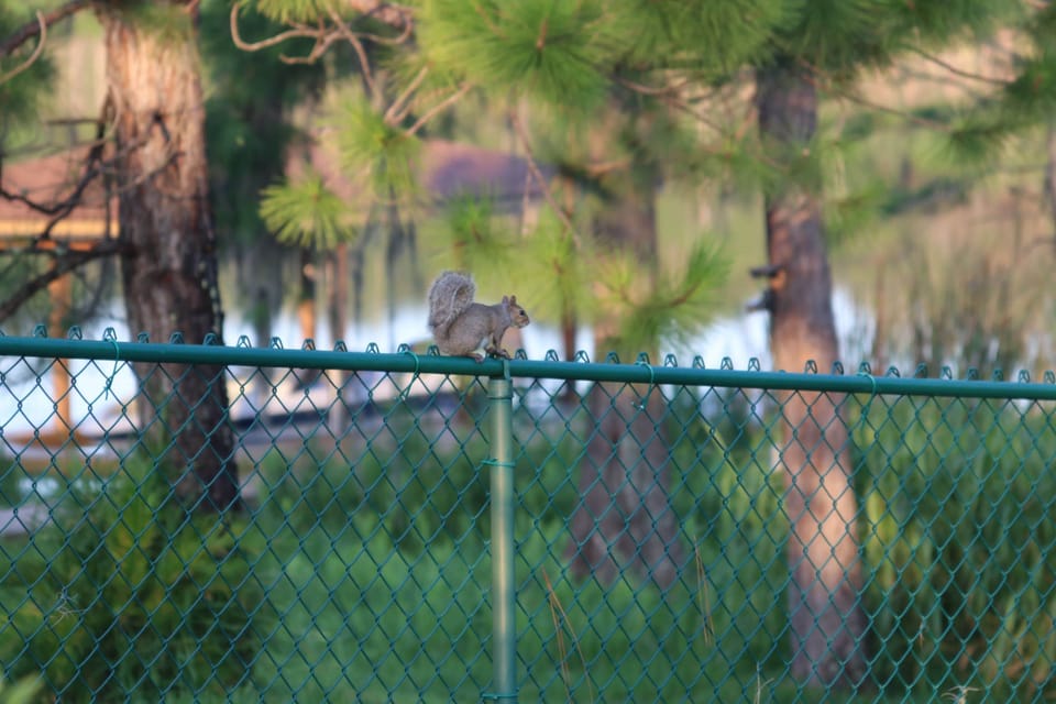 House, Accessible | 4 bedrooms, Internet