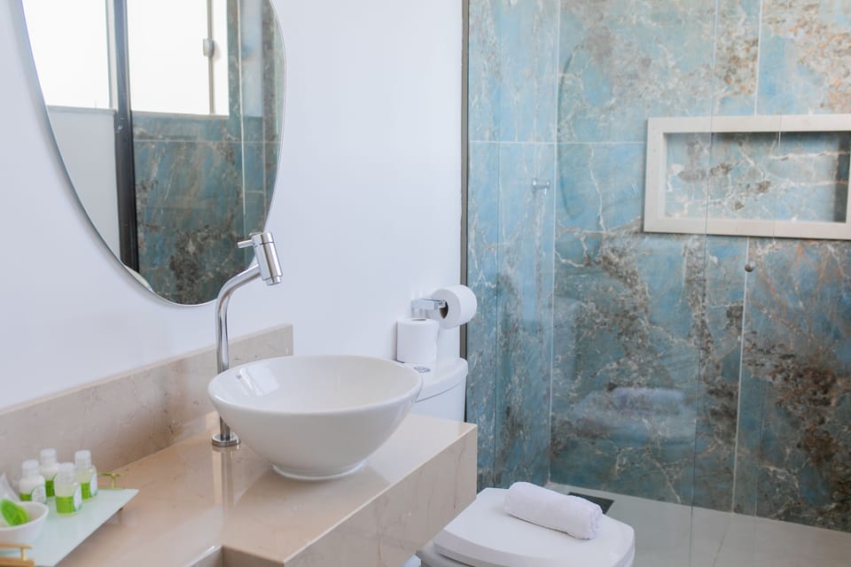 Premium Room | Bathroom | Shower, rainfall showerhead, free toiletries, hair dryer