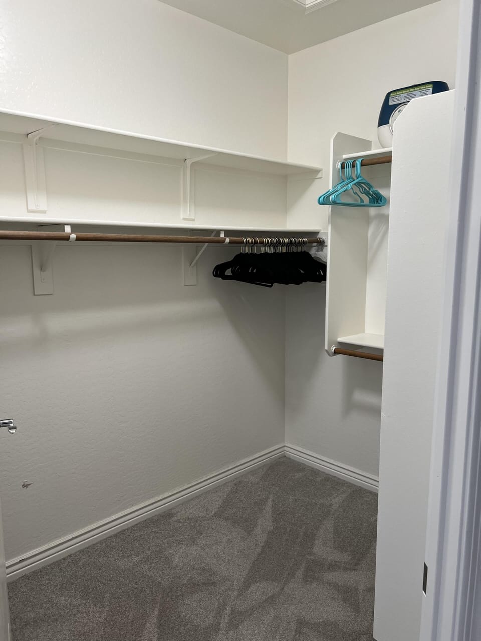 Master walk in closet