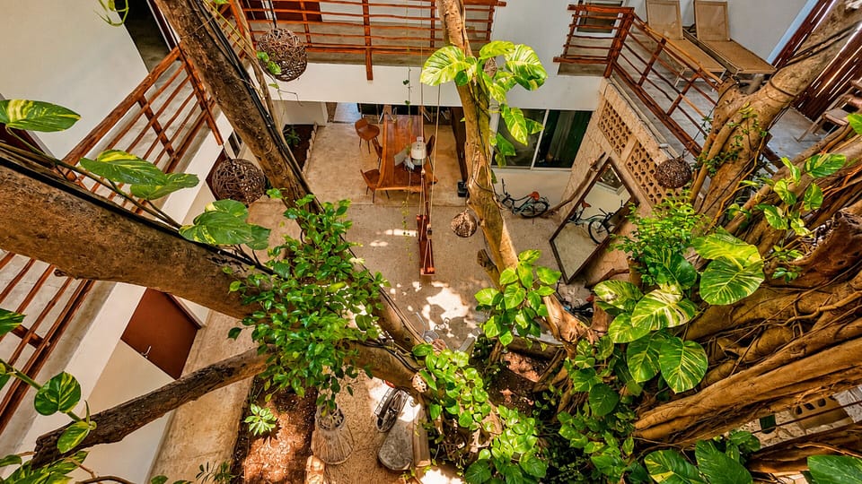 Garden view