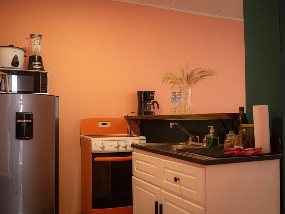 Deluxe Apartment, 1 King Bed, Private Bathroom | Private kitchenette | Full-size fridge, microwave, oven, stovetop