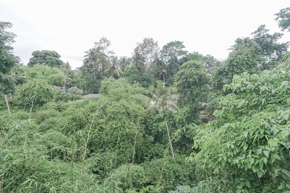 Deluxe Room Balcony with Jungle View | View from room