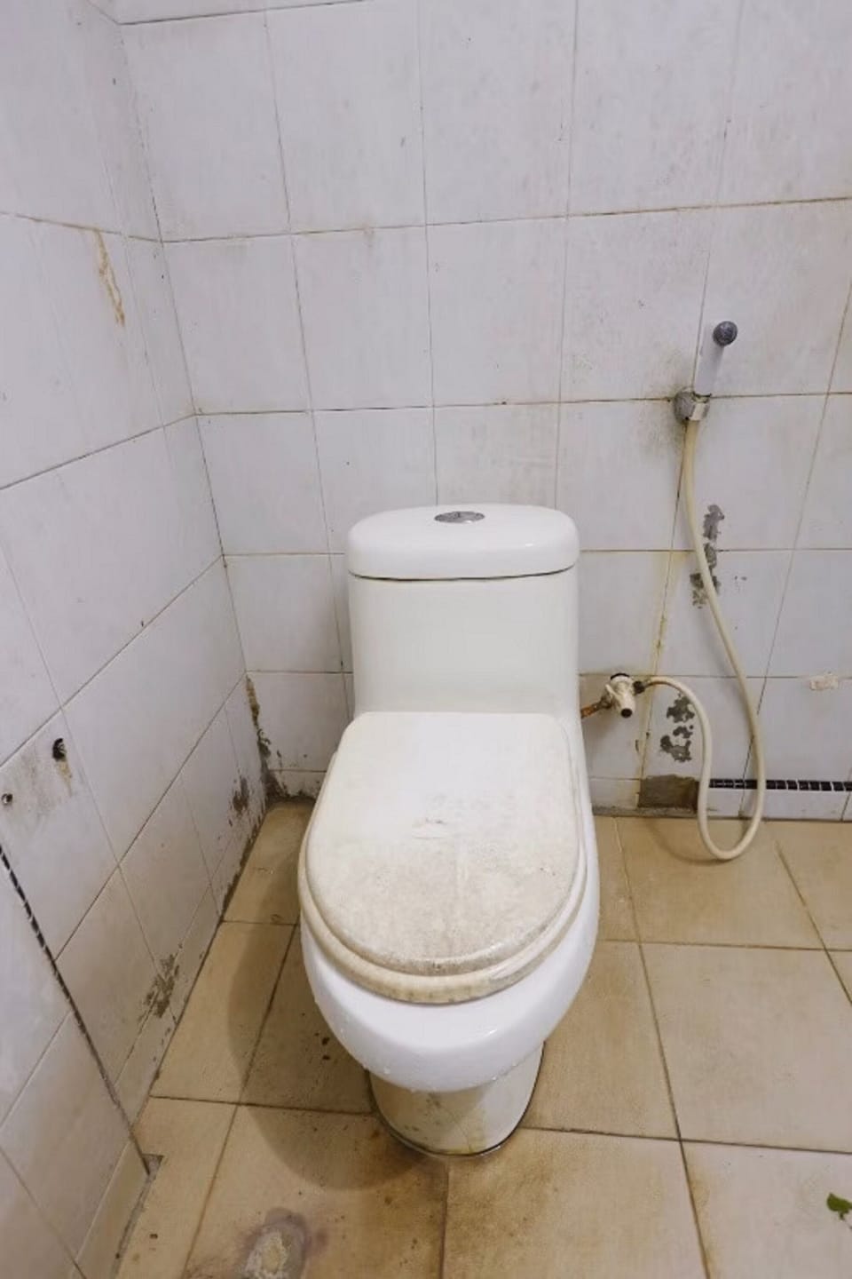 Shower, towels, soap