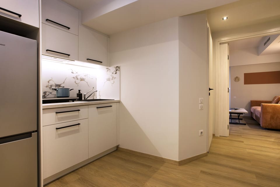 The kitchen fully equipped, with induction cook top / 2 hobs.
