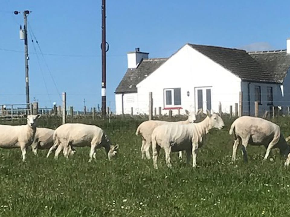 Surrounding area | Cranberry Cottage, Wick